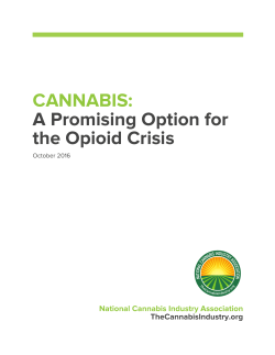 A Promising Option for the Opioid Crisis