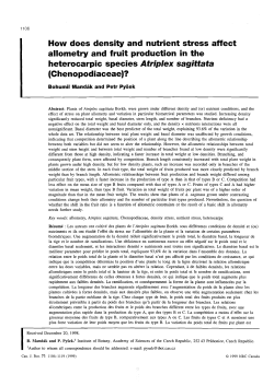 How does density and nutrient stress affect allometry and fruit