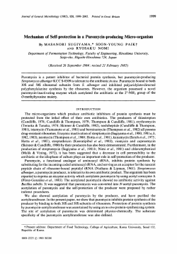 Mechanism of Self-protection in a Purom ycin