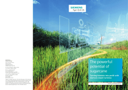 The powerful potential of sugarcane