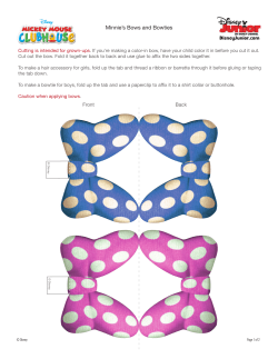 Minnie`s Bows and Bowties