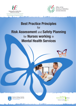 Best Practice Principles for Risk Assessment and