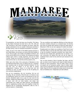 Mandaree Community Snapshot