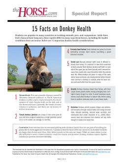 15 Facts on Donkey Health