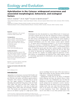 Hybridization in the Cetacea: widespread occurrence and