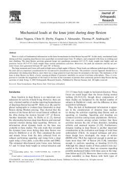 Mechanical loads at the knee joint during deep flexion