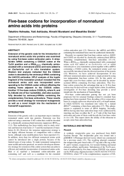 Five-base codons for incorporation of nonnatural