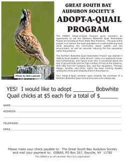 ADOPT-A-QUAIL PROGRAM - Great South Bay Audubon Society
