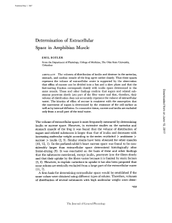 Determination of Extracellular Space in Amphibian Muscle