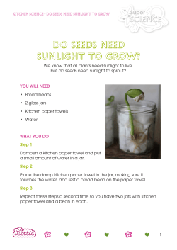 Do seeds need sunlight to grow?