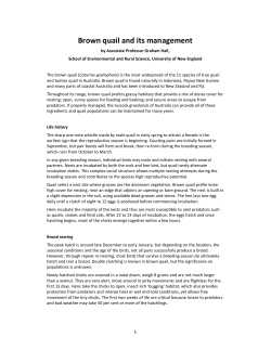 Brown quail and its management