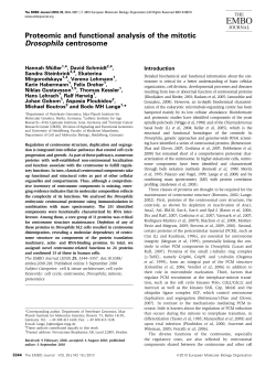 Proteomic and functional analysis of the mitotic Drosophila