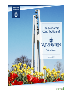 The Economic Contribution of