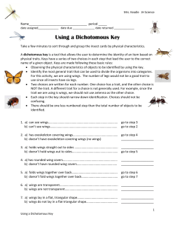 Using a Dichotomous Key