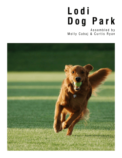 Lodi Dog Park - City of Lodi, WI