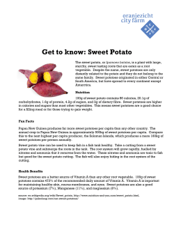 Get to know: Sweet Potato