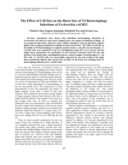 The Effect of Cell Size on the Burst Size of T4 Bacteriophage