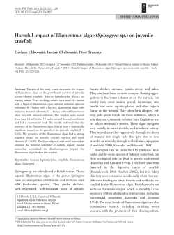 Harmful impact of filamentous algae (Spirogyra sp.) on juvenile