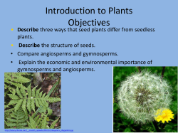 Introduction to Plants