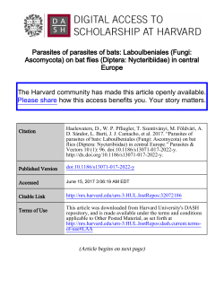 Parasites of parasites of bats: Laboulbeniales (Fungi: Ascomycota