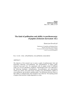 The kind of pollination and ability to parthenocarpy of pepino