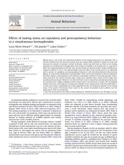 Effects of mating status on copulatory and postcopulatory behaviour