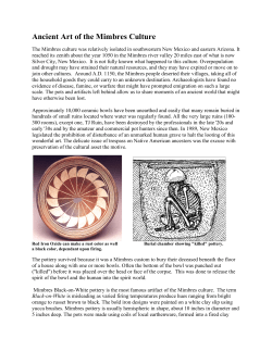 Ancient Art of the Mimbres Culture