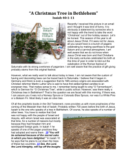 A Christmas Tree in Bethlehem