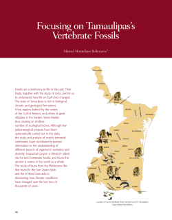 Focusing on Tamaulipas`s Vertebrate Fossils - Revistas