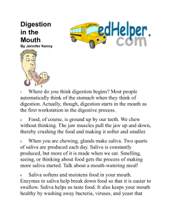 Digestion in the Mouth