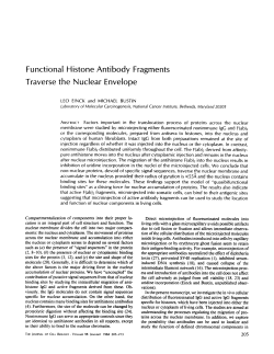 Functional Histone Antibody Fragments Traverse