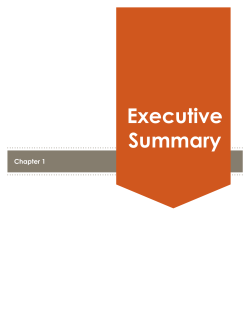 Executive Summary