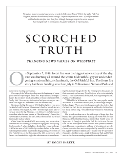 scorched truth - The Forest History Society