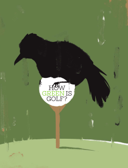 How green is golf? - Beyond Pesticides