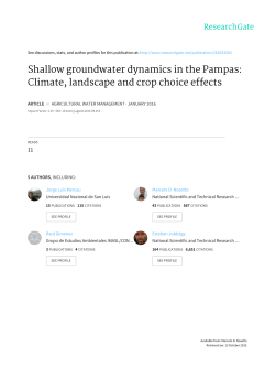 Shallow groundwater dynamics in the Pampas: Climate