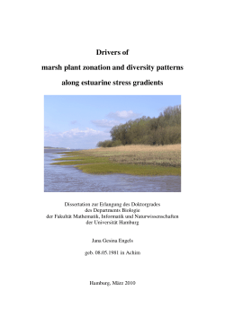 Drivers of marsh plant zonation and diversity patterns along