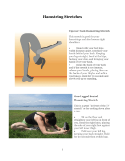 Hamstring Stretches