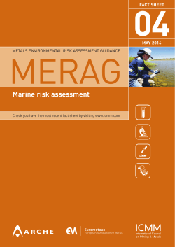 Marine risk assessment