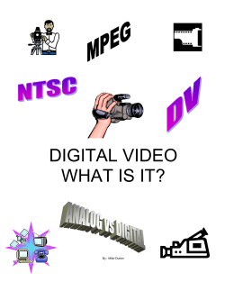 pdf version