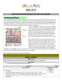 Touch Lesson Plan K-2