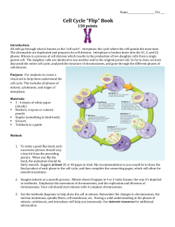 Cell Cycle &ldquo;Flip&rdquo; Book