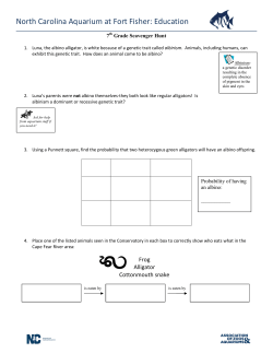 7th Grade - North Carolina Aquariums