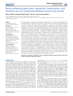 Sense-antisense gene pairs: sequence, transcription, and structure