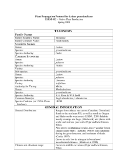 Plant Propagation Protocol for Ledum