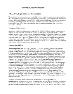 DNA and RNA