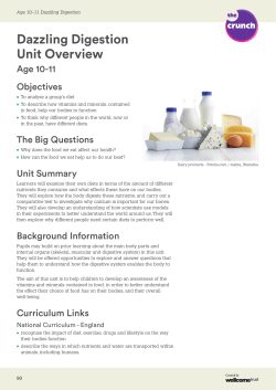 Dazzling Digestion Unit Overview