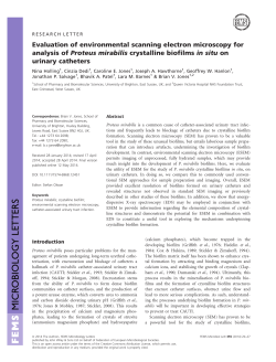 Evaluation of environmental scanning electron microscopy for
