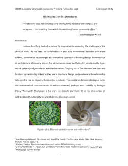 Bioinspiration in Structures
