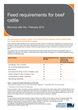 Feed requirements for beef cattle