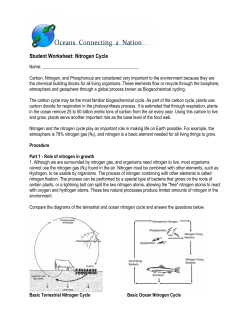Student Worksheet: Nitrogen Cycle